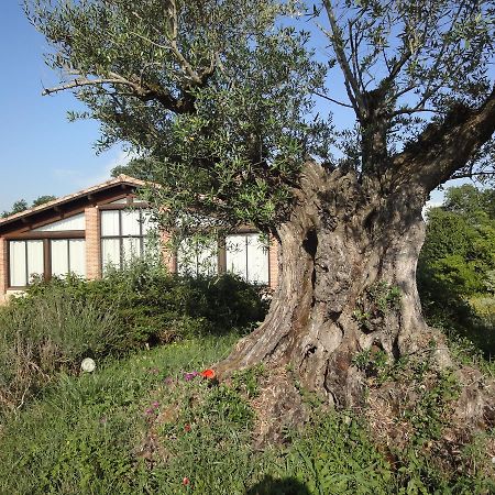 Chalet Domaine De Combe Ramond Veilhes Bagian luar foto
