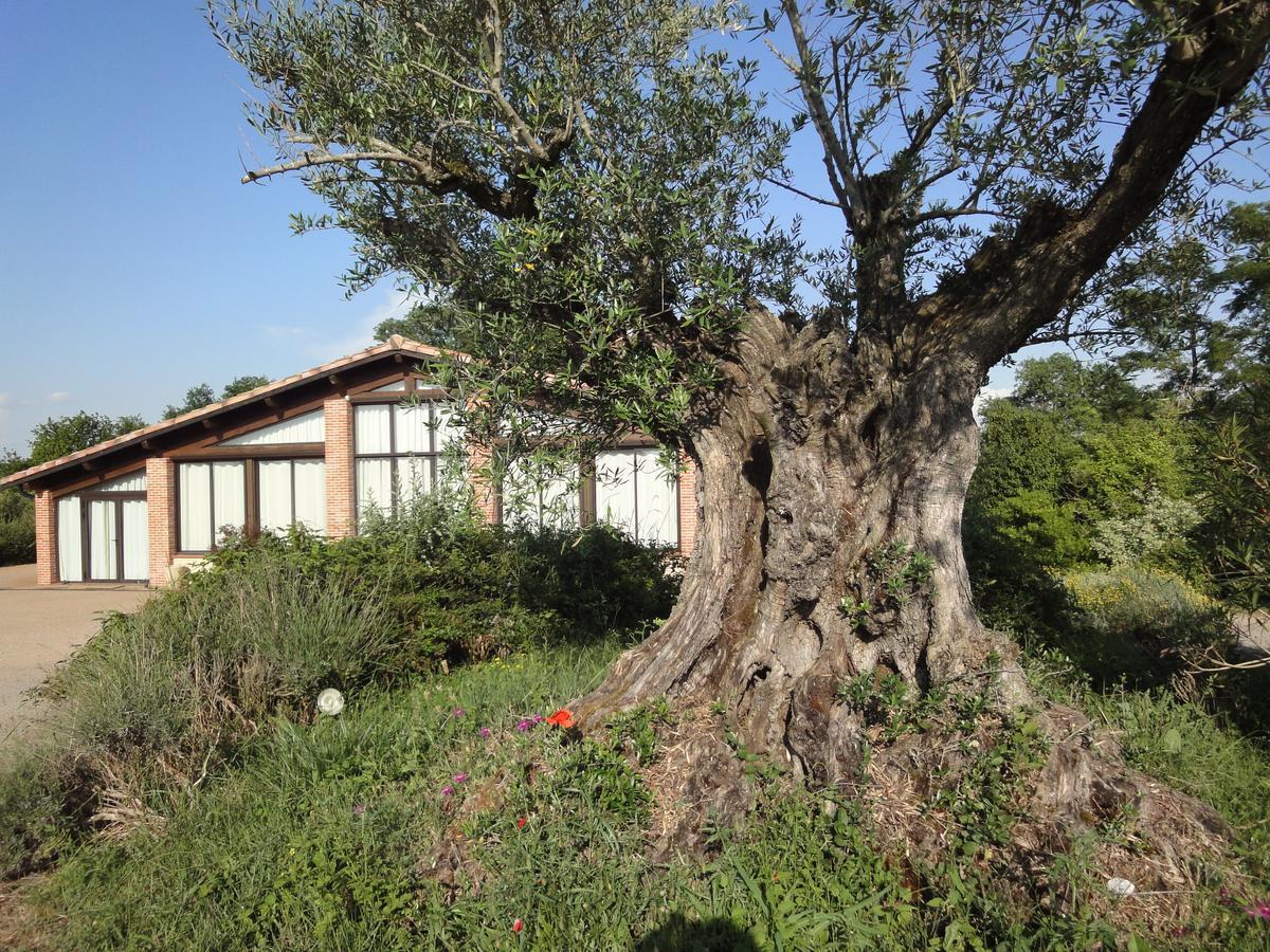 Chalet Domaine De Combe Ramond Veilhes Bagian luar foto